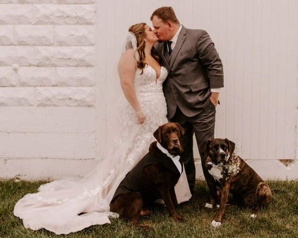 How to Incorporate Your Pets in to Your Wedding — Elizabeth Bliss